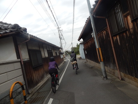 DSCN5134