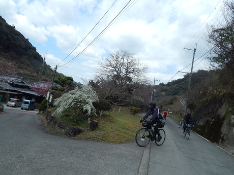 DSCN7717