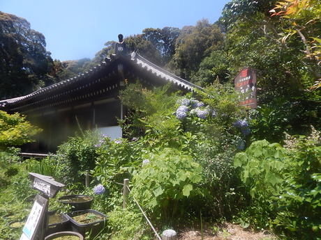 DSCN8668