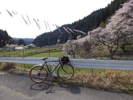 s-P4130397higashiyo