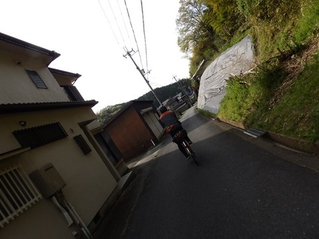 s-P4130489higashiyo