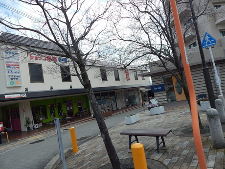 DSCN3068