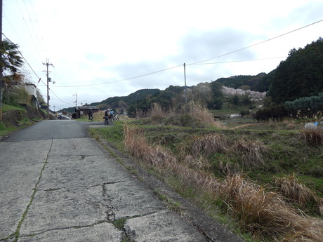 DSCN6147
