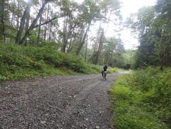 s-P9180805takabocchi