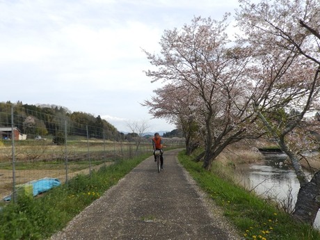 s-P4130450higashiyo