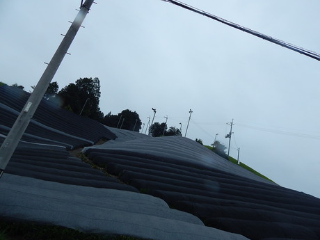 DSCN7801