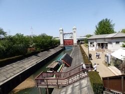 s-P4220135fushimi