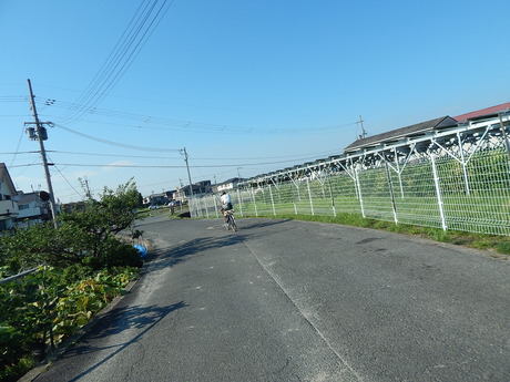 DSCN8898