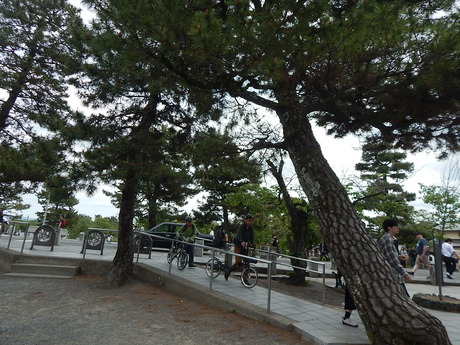 DSCN7362