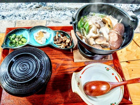 takubokinoko