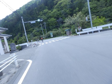 s-P5030432shirabiso