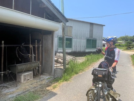 s-t002awaji