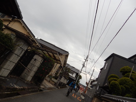 DSCN3255