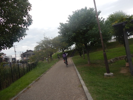 DSCN5209