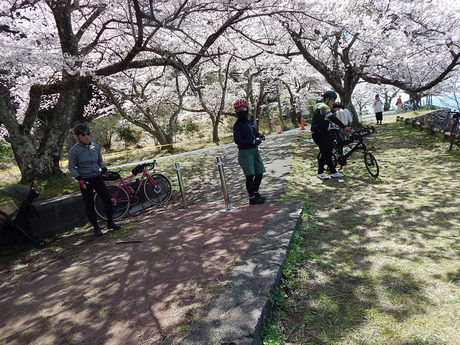 DSCN8820