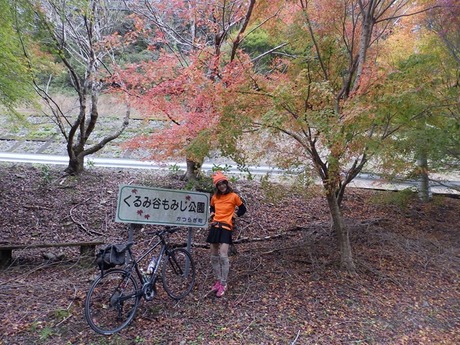 s-PB110134kushigaki