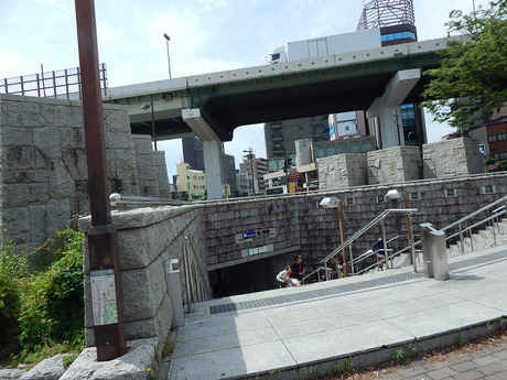 DSCN6530