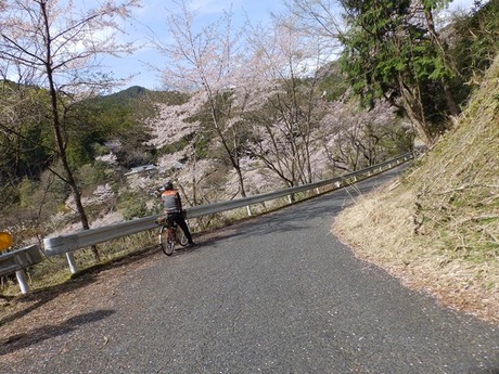 s-P4130390higashiyo
