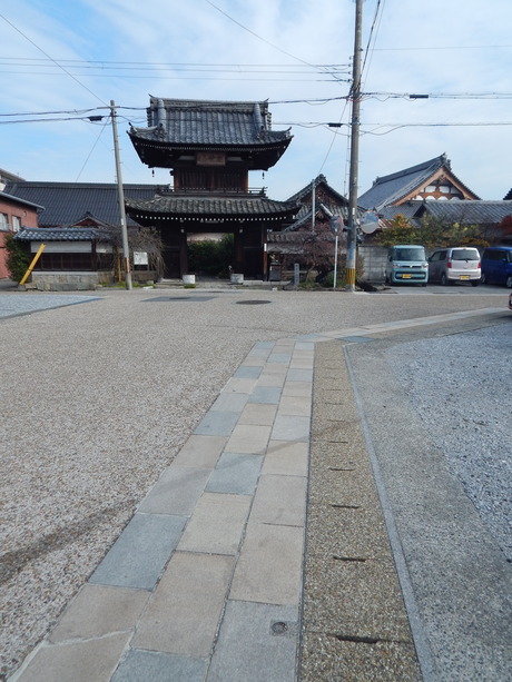 DSCN7049