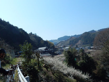 DSCN7075