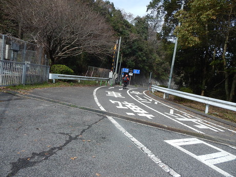 DSCN5095
