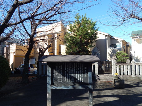 DSCN9102