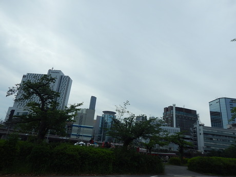 DSCN6585