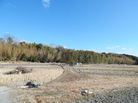 DSCN1305