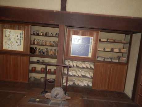 DSCN8503