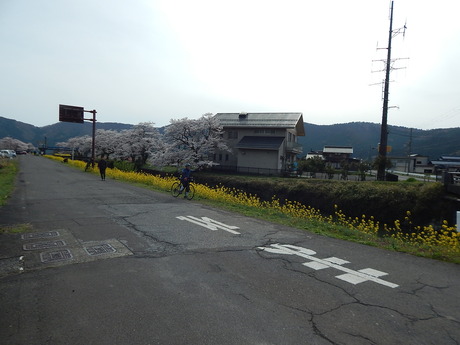 DSCN9249