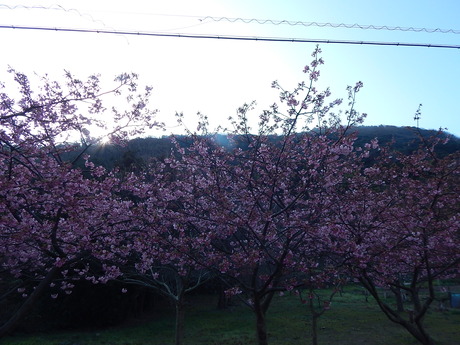 DSCN3369