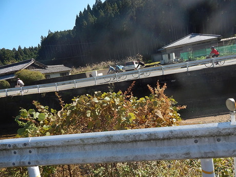 DSCN5437
