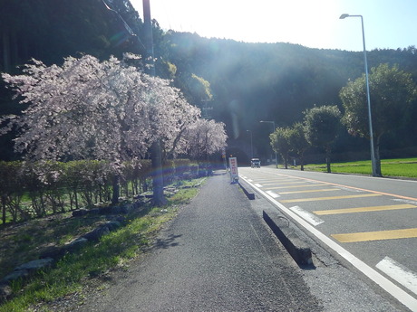 DSCN6665