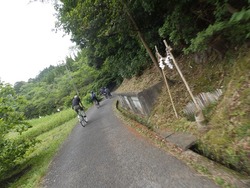 s-P6180131houkyu