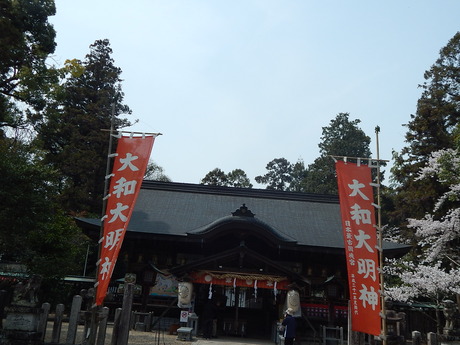 DSCN5908