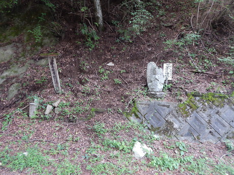 DSCN0908