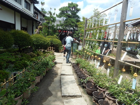 DSCN0407