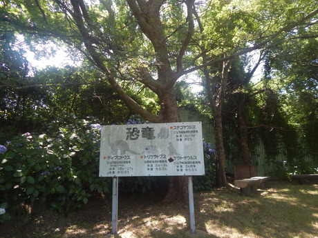 DSCN8431