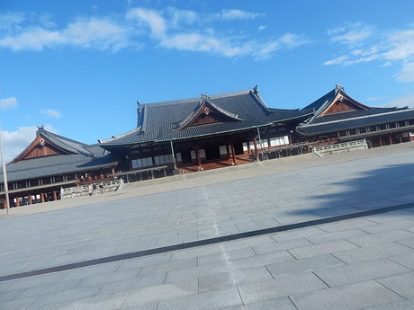 DSCN4677