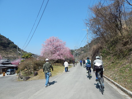 DSCN7235