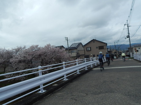 DSCN6059