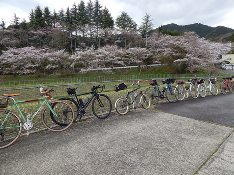 DSCN8079