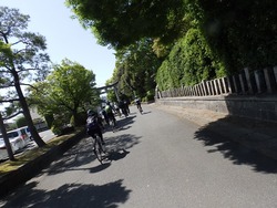 s-P4220221fushimi