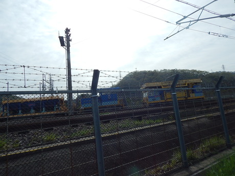 DSCN6732