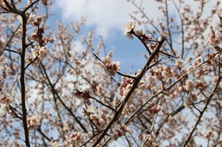 s-IMG_9692hirohashi