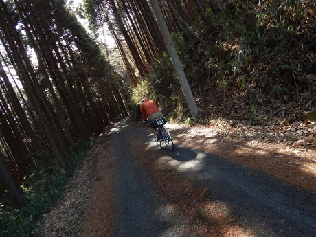 DSCN6378