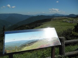 s-P8130036shikoku
