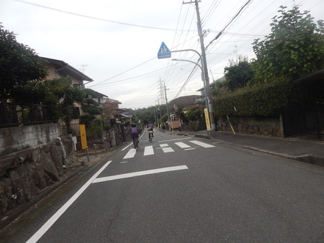 DSCN5062