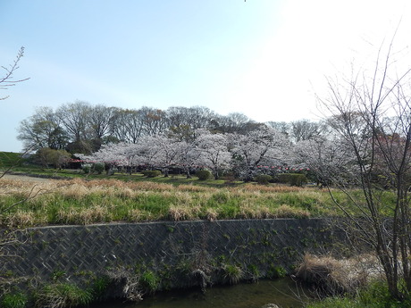 DSCN8359