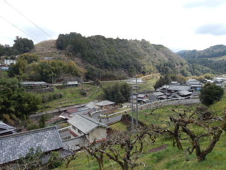 DSCN7629